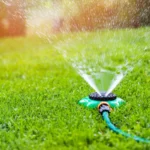 The Beginner’s Guide to Backyard Water Systems