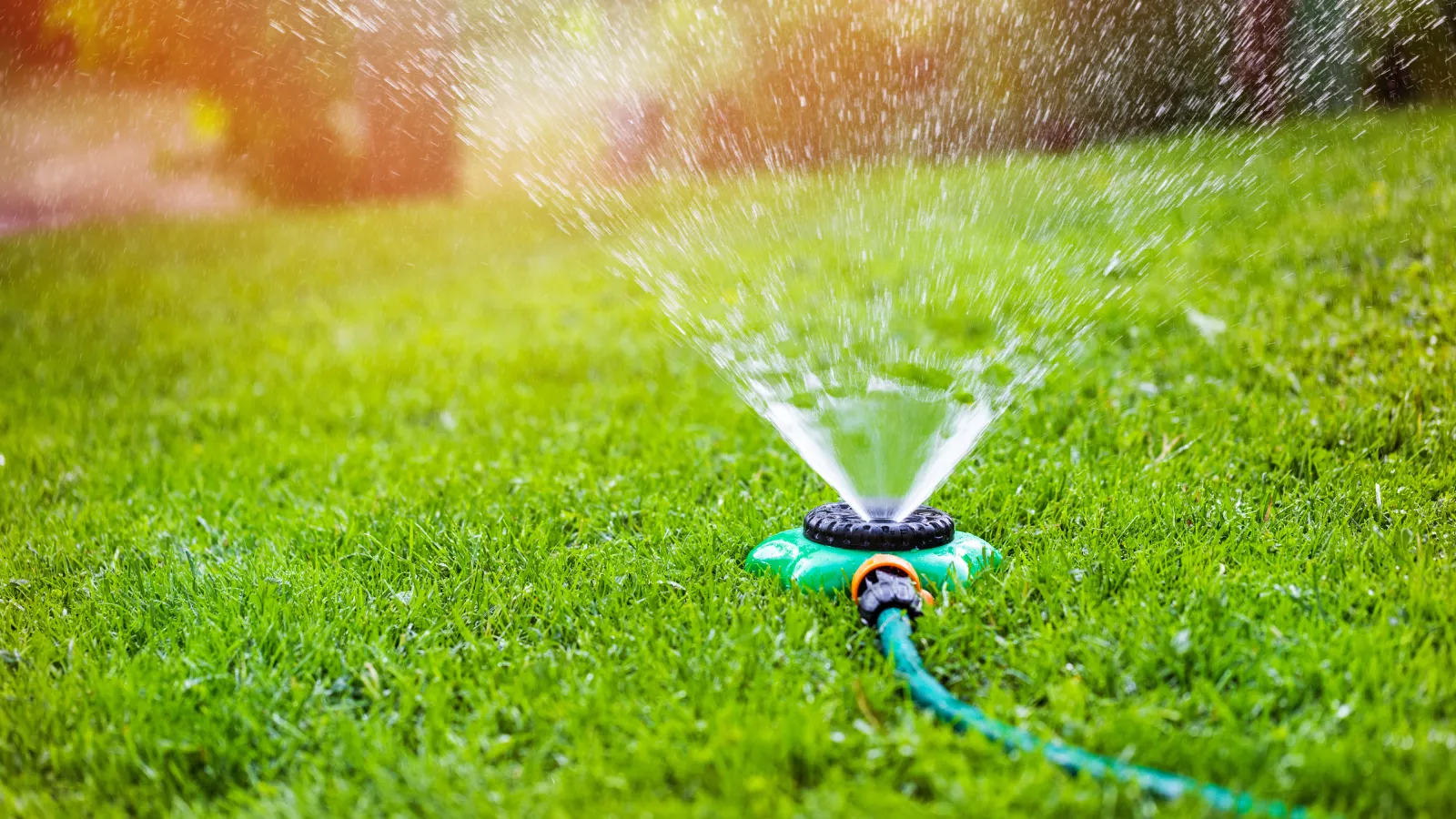 The Beginner’s Guide to Backyard Water Systems